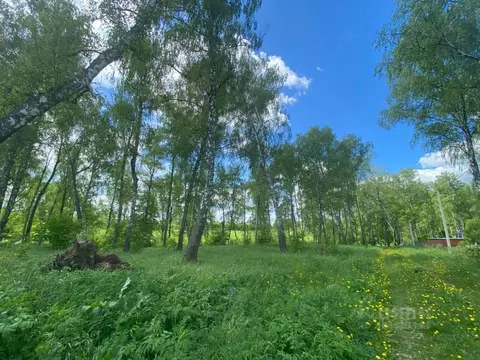 Участок в Тульская область, Заокский район, Демидовское с/пос, ...