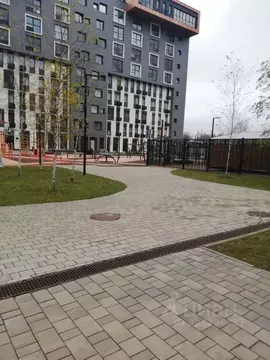 Студия Санкт-Петербург Парашютная ул., 79к1 (25.0 м)