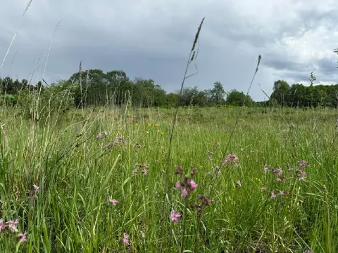 Продается участок в д. Руднево