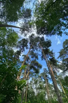 Продается участок в г. Химки