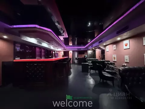 Помещение свободного назначения в Ставропольский край, Ставрополь ул. ...