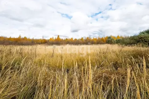 Участок в Ишеевка, Земляничная улица (100 м)