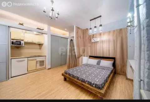 Квартира-студия: Санкт-Петербург, проспект Римского-Корсакова, 3 (24 ...