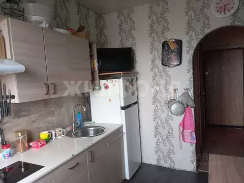 3-к кв. Новосибирская область, Новосибирск ул. Дениса Давыдова, 7 ...