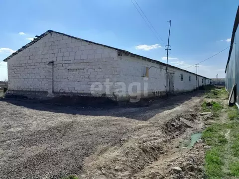 Склад в Белгородская область, Корочанский муниципальный округ, с. ...