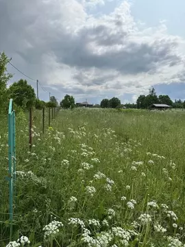 Участок в Ленинградская область, Волосовский район, Большеврудское ...