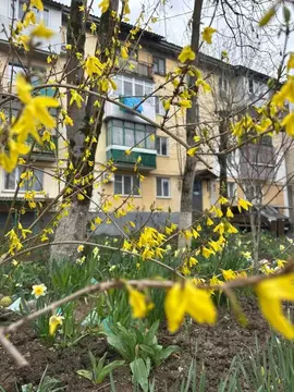 2-к кв. Крым, Бахчисарай ул. Фрунзе, 95 (43.0 м)