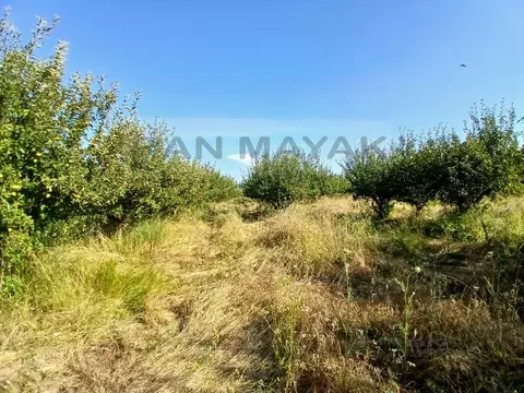 Участок в Адыгея, Майкопский район, Победенское с/пос, пос. Удобный  ...