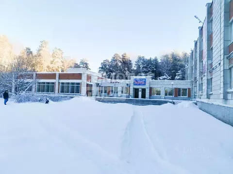 Помещение свободного назначения в Свердловская область, Рефтинский пгт ...