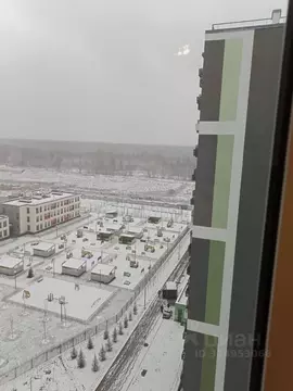 Студия Ленинградская область, Всеволожское городское поселение, пос. ...