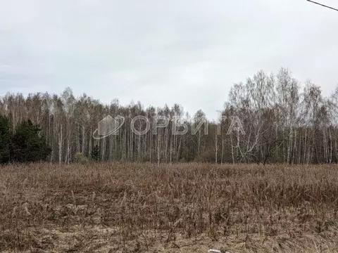 Участок в Тюменская область, Нижнетавдинский район, д. Московка просп. ...