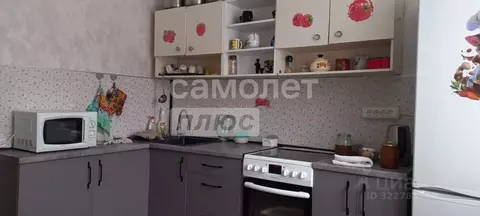 2-к кв. Челябинская область, Златоуст ул. 40-летия Победы, 22 (52.0 м)