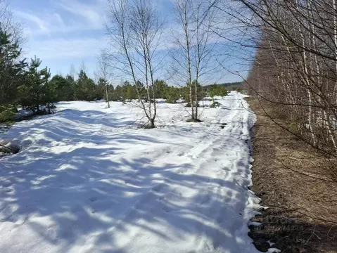 Участок в Московская область, Орехово-Зуевский городской округ, д. ...