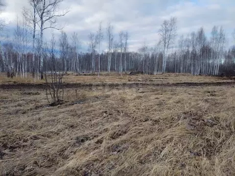 Участок в Тюменская область, Нижнетавдинский муниципальный округ, ...