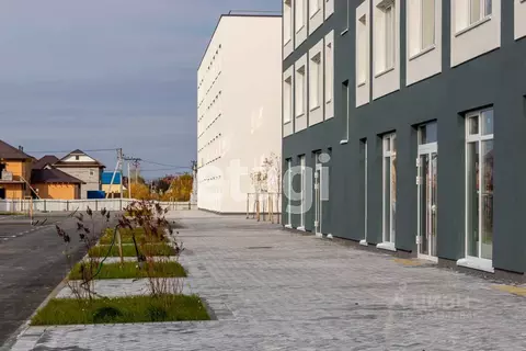 Студия Тюменская область, Тюмень ул. Алексея Сергиенко, 9 (25.6 м)