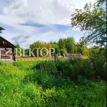 Участок в Костромская область, Костромской район, Кузьмищенское с/пос, ...