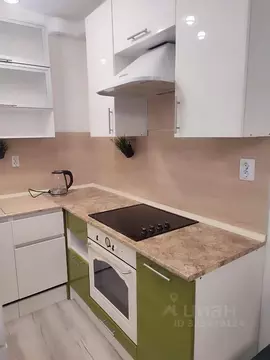 1-к кв. Ленинградская область, Мурино Всеволожский район, ул. Шоссе в ...