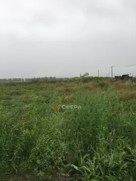 Участок в Новосибирская область, Новосибирский район, Толмачевский ...