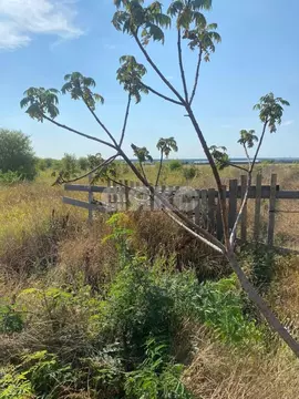 Участок в Адыгея, Майкопский район, Кировское с/пос, Северо-Восточные ...