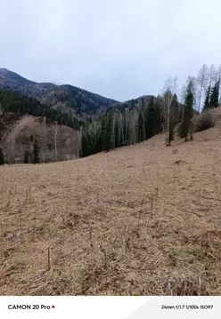 Участок в Алтай, Чемальский район, Элекмонарское с/пос  (300.0 сот.)