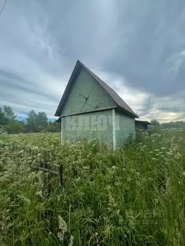 Дом в Вологодская область, Сокольский муниципальный округ, Радуга ...