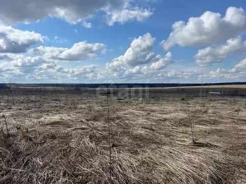 Участок в Вологодская область, пос. Грибково  (12.13 сот.)