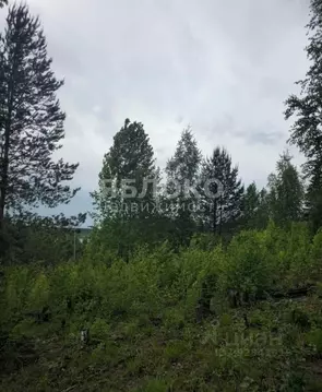 Участок в Пермский край, Березники № 99 СНТ,  (9.6 сот.)