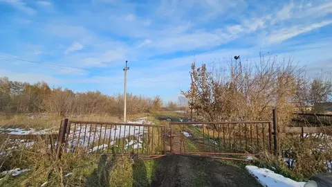 Участок в Алтайский край, Павловский район, с. Шахи Полевая ул. (327.5 ...