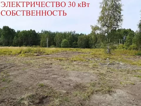 Участок в Ленинградская область, Выборгский район, Советское городское ...