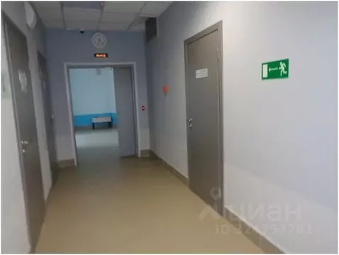 Помещение свободного назначения в Ленинградская область, Ивангород ...