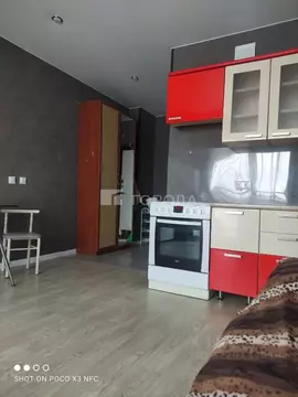 Студия Новосибирская область, Новосибирск ул. Ватутина, 93/2 (24.0 м)