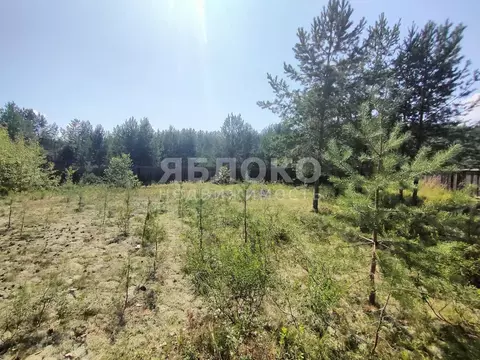 Участок в Пермский край, Березники муниципальный округ, пос. Орел  ...