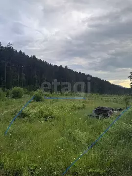 Участок в Алтай, Майминский район, с. Манжерок  (11.5 сот.)
