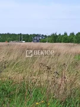 Участок в Костромская область, Кострома Соколиное Гнездо кп, 1 (7.0 ...