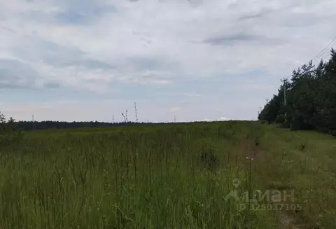 Участок в Московская область, Дмитровский муниципальный округ, д. ...
