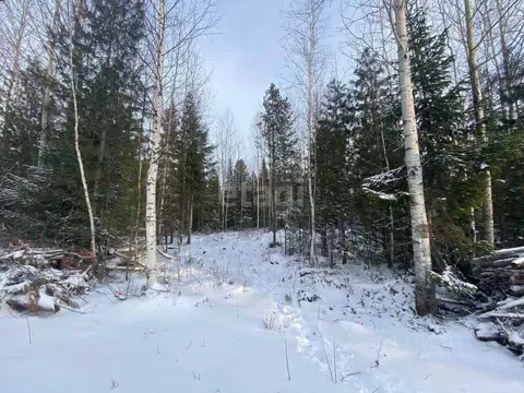 Участок в Ханты-Мансийский АО, Ханты-Мансийск Мир СОНТ,  (8.4 сот.)