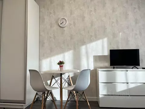 Студия Санкт-Петербург пос. Шушары, просп. Старорусский, 8к1 (28.0 м)