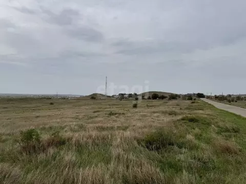 Участок в Крым, Ленинский район, Калиновское с/пос, Мрия СНТ ул. ...