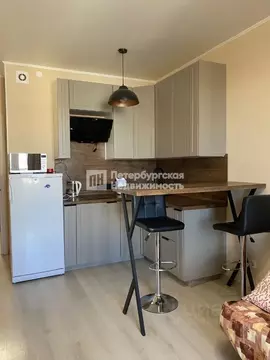 Студия Санкт-Петербург ул. Верхне-Каменская, 5 (24.1 м)