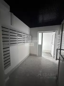 Студия Челябинская область, Челябинск Университетская Набережная ул., ...