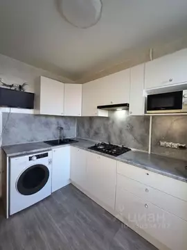 1-к кв. Санкт-Петербург ул. Вавиловых, 11К6 (31.0 м)