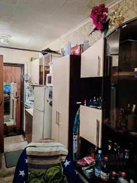 Студия Кемеровская область, Кемерово просп. Ленина, 137б (16.0 м)