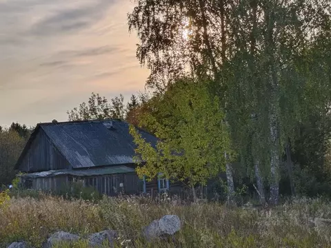 Участок в Пермский край, д. Сыро-Платошино  (9.6 сот.)