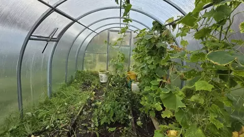 Дом в Архангельская область, Приморский муниципальный округ, Тайга СНТ ...