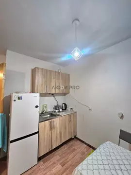 Студия Башкортостан, Уфа ул. Бородинская, 11/1 (19.6 м)