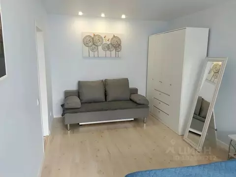 1-к кв. Псковская область, Псков Октябрьский просп., 23А (33.0 м)