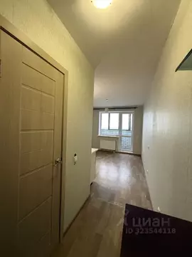 Студия Воронежская область, Воронеж Ростовская ул., 100БкА (16.3 м)