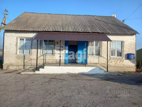 Торговая площадь в Белгородская область, Волоконовский район, ...