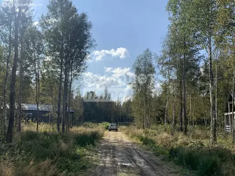Участок в Ломоносовский район, Оржицкое сельское поселение, деревня ...