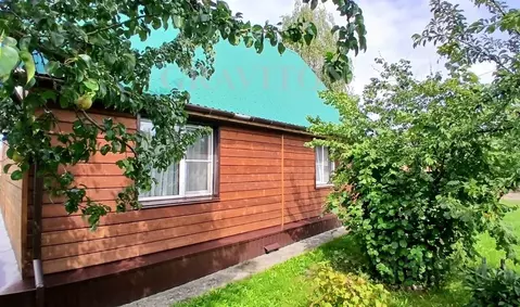 Дом в Алтай, Майминский район, с. Майма  (61 м)